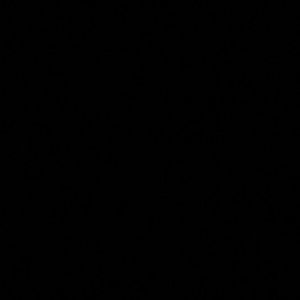 Meet your Posher, Janeth